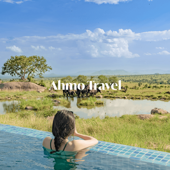 아모트래블 설명 사진